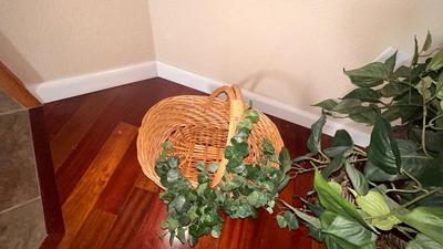 HEAVY WICKER BASKET AND PLANT STAND WITH FAUX PHILODENDRON