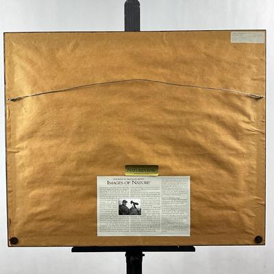 Sale Photo Thumbnail #1686: Measures: 19.5" high x 23.5" wide