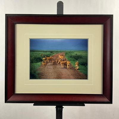 Sale Photo Thumbnail #1685: Measures: 19.5" high x 23.5" wide