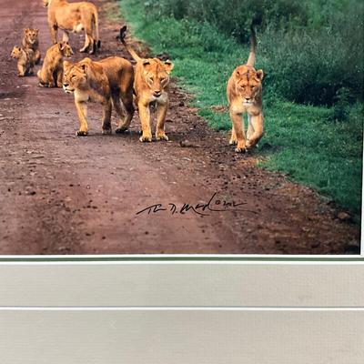 Sale Photo Thumbnail #1688: Measures: 19.5" high x 23.5" wide