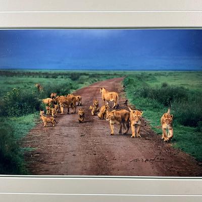 Sale Photo Thumbnail #1687: Measures: 19.5" high x 23.5" wide