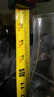 Kaadan Ltd. Vintage Floral Kerosene Lamp 16 Inch Hand Painted Oil Lamp with Clear Hurricane Chimney (1970s-1980s)