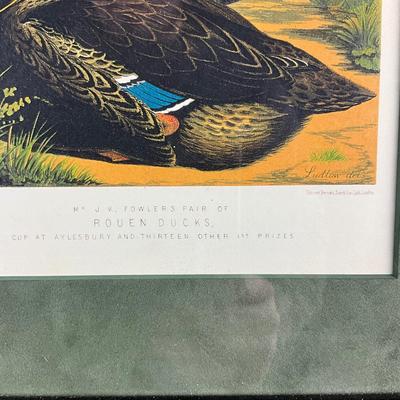 001 Waterfowl Print In Burl Wood Frame With Matting Drawn By Ludlow