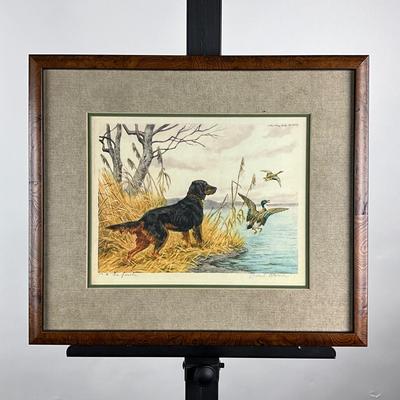 002 Retriever Hunting Dog With Duck In Flight Etching Hand-Colored By Paul Wood