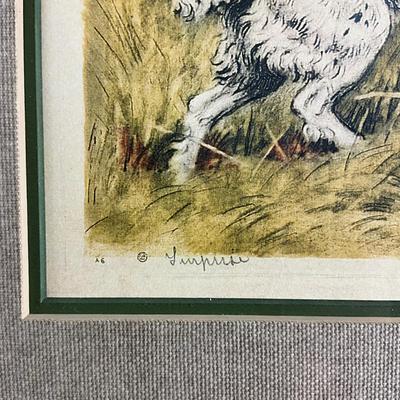 003 Spaniel Hunting Dog With Flying Bird Hand-Colored Etching By Paul Wood