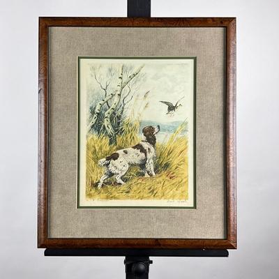 003 Spaniel Hunting Dog With Flying Bird Hand-Colored Etching By Paul Wood