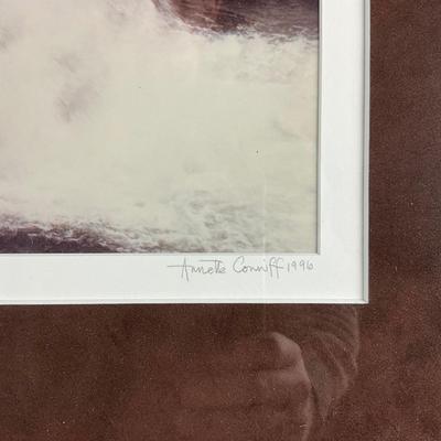 009 Photograph Of Muddy Falls In Garrett County, MD By Annette Conniff