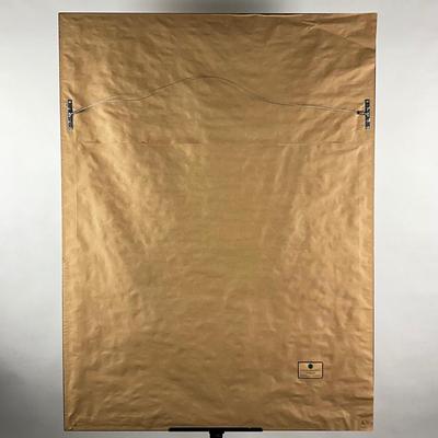 013 After J. J. Audubon Brown Pelican Birds of America Reproduction Print