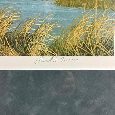 014 "Into The Shallows" By David Maass Full Color Signed Limited Edition Print #417/580