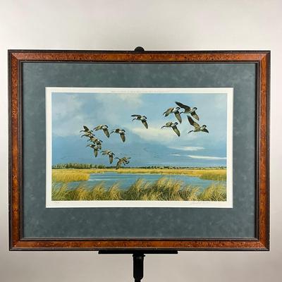 014 "Into The Shallows" By David Maass Full Color Signed Limited Edition Print #417/580