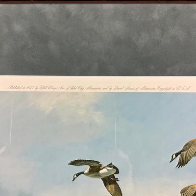 014 "Into The Shallows" By David Maass Full Color Signed Limited Edition Print #417/580