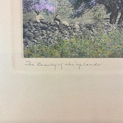 Sale Photo Thumbnail #149