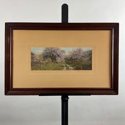 Sale Photo Thumbnail #147