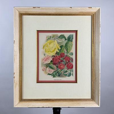 Sale Photo Thumbnail #233