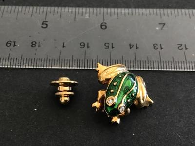 Frog Lapel pin