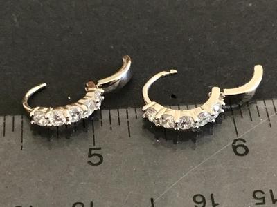 Beautiful Petite Earrings