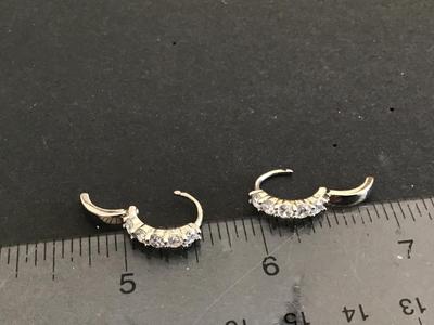 Beautiful Petite Earrings