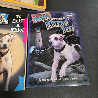 LOT 94X: Nancy Drew Books, Wishbone Mysteries, and More/ Great Stocking Stuffers!