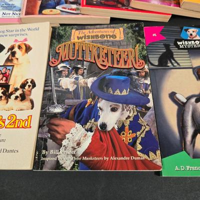 LOT 94X: Nancy Drew Books, Wishbone Mysteries, and More/ Great Stocking Stuffers!