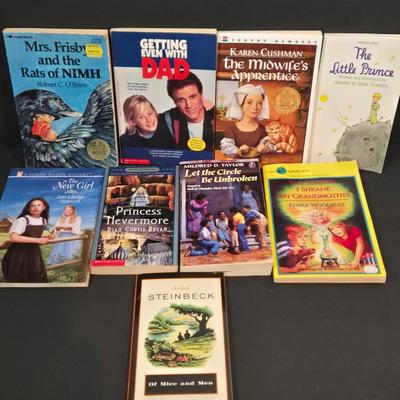 LOT 101X: Collection of Books for Young Readers / Great Stocking Stuffers