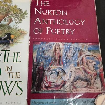 LOT 103X: Variety of Books Including The Two Towers, Catching Fire, 1984, and More