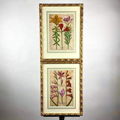 Sale Photo Thumbnail #243