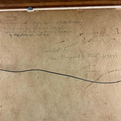 Sale Photo Thumbnail #345