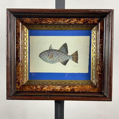 113 Antique Framed Fish Engraving