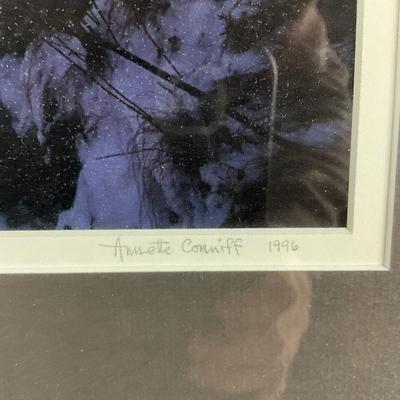 117 "Old Glendale Bridge" At Deep Creek Garrett County, Maryland Photograph By Annette Conniff