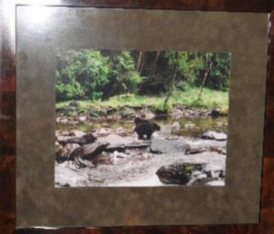 118 "Alaskan Landscape With Bear" Photograph By Jisa Beck