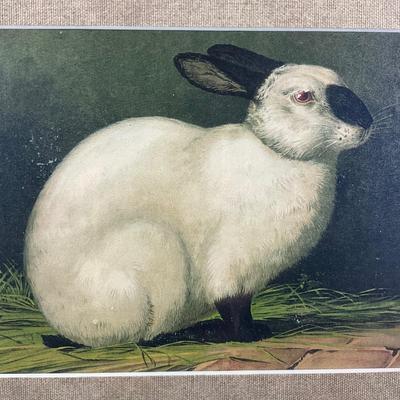 122 "The Hare" Framed Lithograph