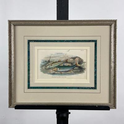 129 Vintage Fish Etching Green Mallet Sand Smelt