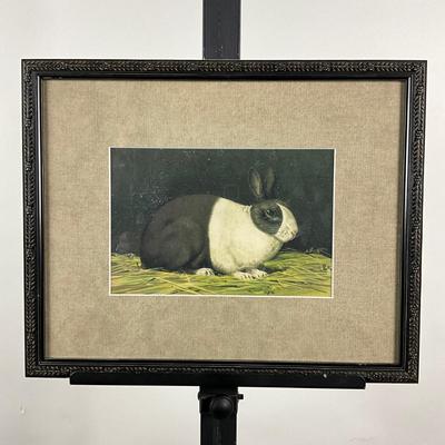 132 Black & White Hare Print Framed
