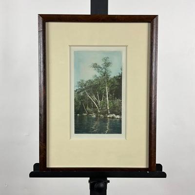 133 Hand-Colored Photograph Of Lake And Trees