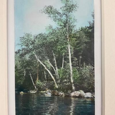 133 Hand-Colored Photograph Of Lake And Trees