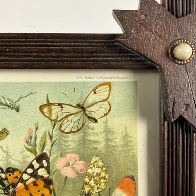 135 Tramp Frame With Botanical Moths, Butterflies And Vegetation