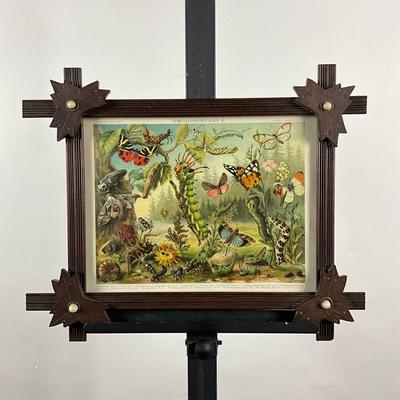 135 Tramp Frame With Botanical Moths, Butterflies And Vegetation