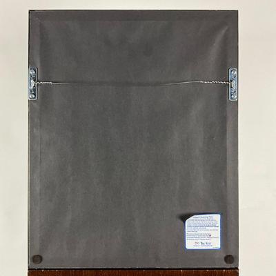 136 Pair of Framed Antique Hand-Colored Botanical Engravings Of Ferns & Grasses