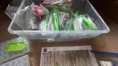 LIGHT UP BOARD, MAGNIFYING OTT LIGHT, DIAMOND PICTURE JEWELS AND ALL YOU NEED FOR APPLICATION