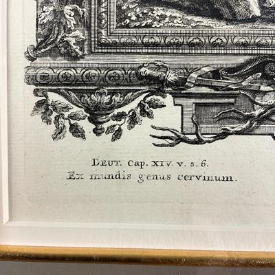 138 Antique Etching Of Deers By I.A. Fridrich