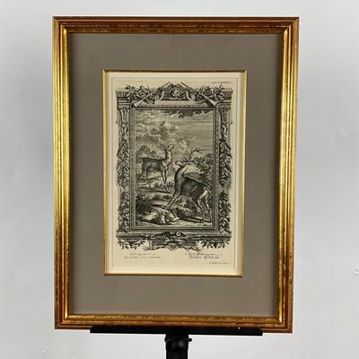 138 Antique Etching Of Deers By I.A. Fridrich