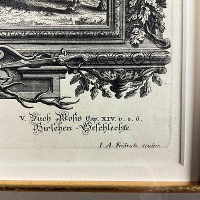 138 Antique Etching Of Deers By I.A. Fridrich