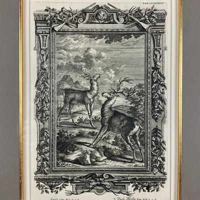 138 Antique Etching Of Deers By I.A. Fridrich