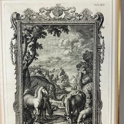 139 Antique Etching Of Horse, Elephant, Cow And Sheep
