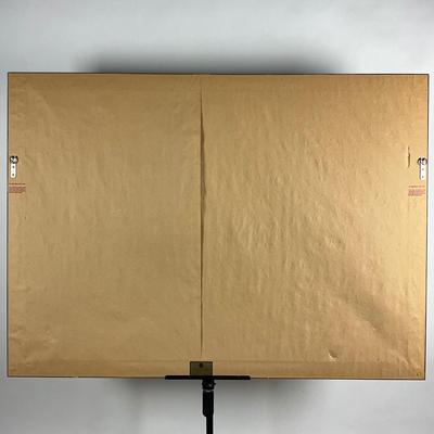 152 Lithograph Poster "Winter In Saint Mortiz" Engadin By A. Christohel