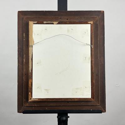 163 Vintage Coral Nautical Sea Plants Framed Color Lithograph