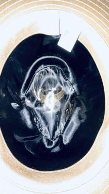 HENSCHEL HAT COMPANY HATS