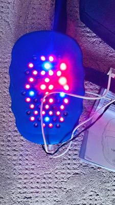 LIGHT RELIEF DEVICE AND LAMP