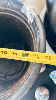 PLANTERS, PAINTED ROCKS, TOMATO CAGE AND SPRINKLER