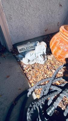 LARGE SHALLOW CLAY PLANTERS, GARDEN HOSE AND CUTE LITTLE FROG